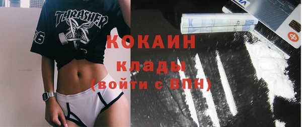 крисы Белая Холуница