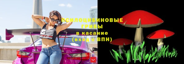 а пвп мука Липки