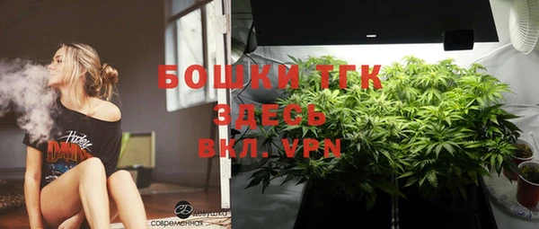 гидра Лихославль