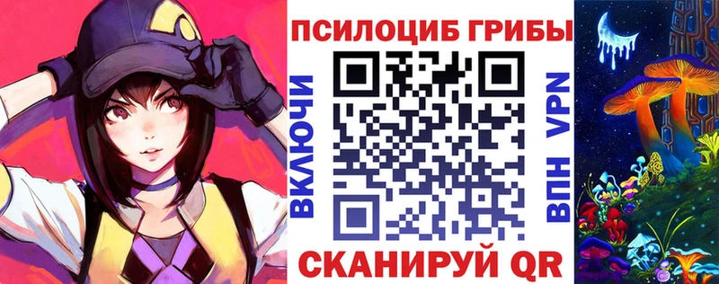 KRAKEN зеркало  Невельск  Галлюциногенные грибы Magic Shrooms  купить  